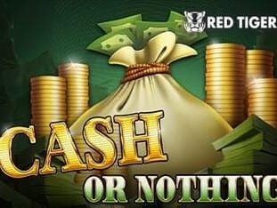 Cash Or Nothing game cover